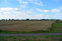 DSC_3517