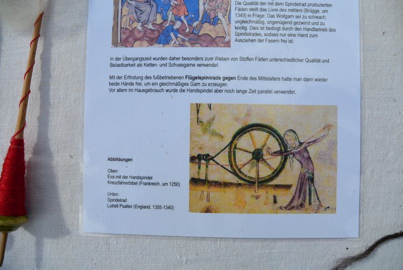 Lutrell Psalter
