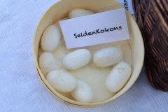 Seide